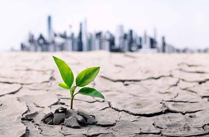 ¿Qué es Resiliencia? - Los 7 pasos para sobreponerse a las adversidades